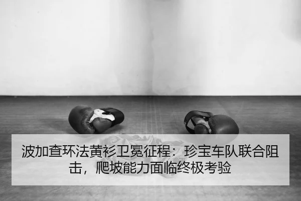 波加查环法黄衫卫冕征程：珍宝车队联合阻击，爬坡能力面临终极考验