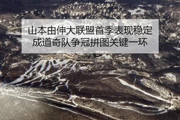 shan-ben-you-shen-da-lian-meng-shou-ji-biao-xian-wen-ding-cheng-dao-qi-dui-zheng-guan-pin-tu-guan-jian-yi-huan-2-351.jpg